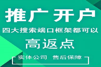 SEM代运营服务公司案例：提升广告投放效果